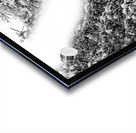 Picnic Under Snow Trees  Acrylic print