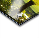 Boerner Botanical Gardens Acrylic print