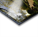 Storm Approaching Acrylic print