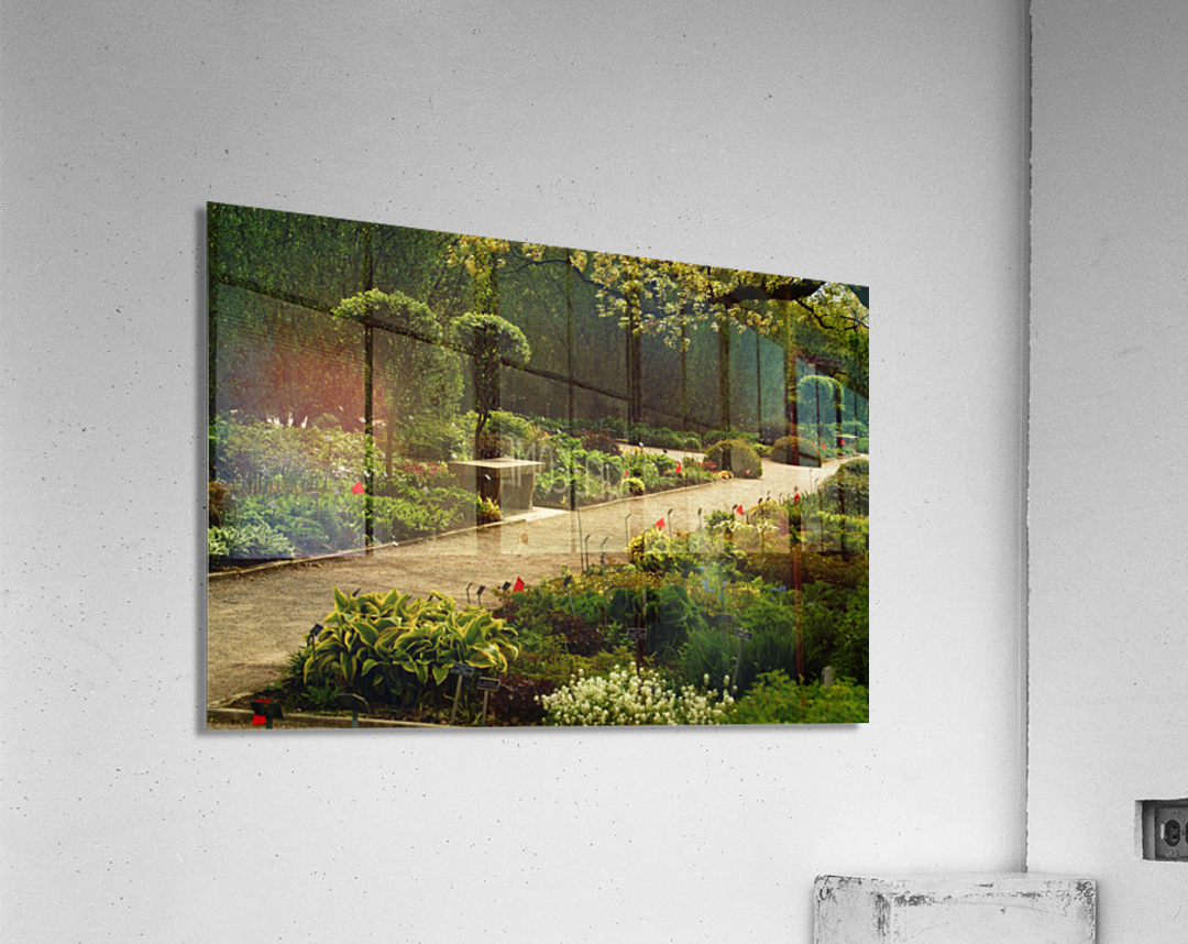 Shady Sun Acrylic Print