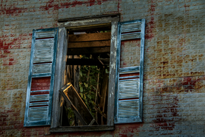 Outside Through the Window