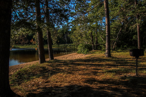 Deer Lake Picnic Print