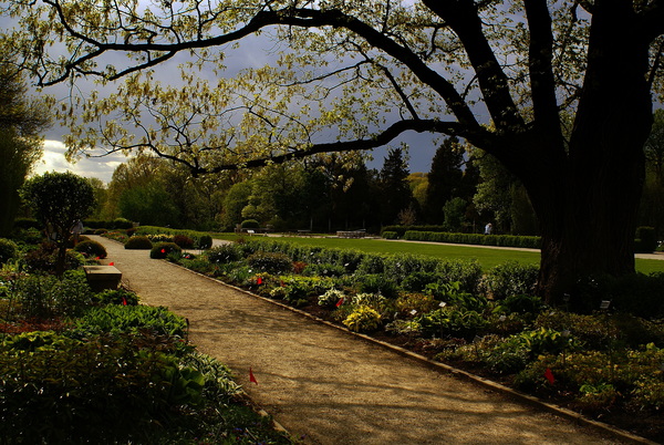Storm Approaching Print