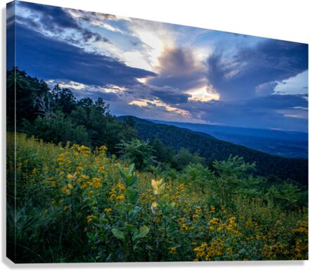Great Valley Sunset  Canvas Print