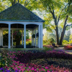 Morning in the Gardens