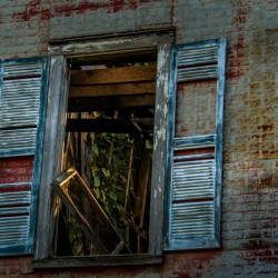 Outside Through the Window