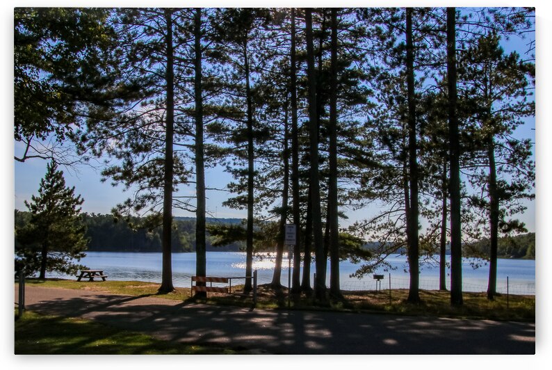 Roadside Park by Deb Beausoleil