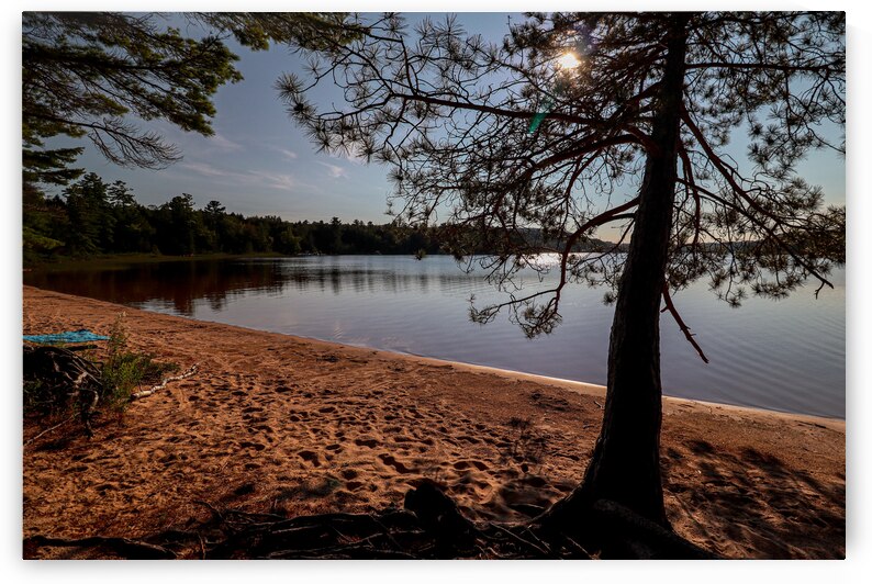 Summer Day at Deer Lake by Deb Beausoleil