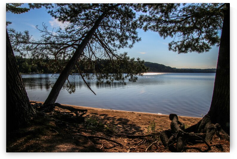 Sunshine on Deer Lake by Deb Beausoleil