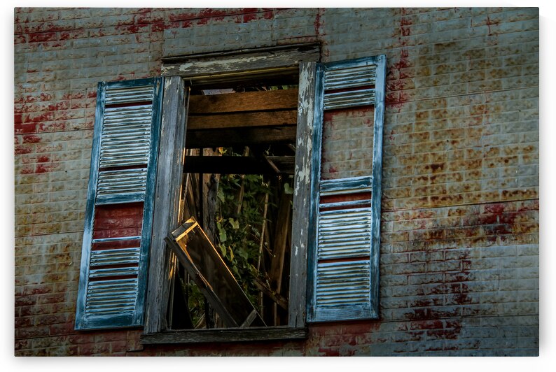 Outside Through the Window by Deb Beausoleil
