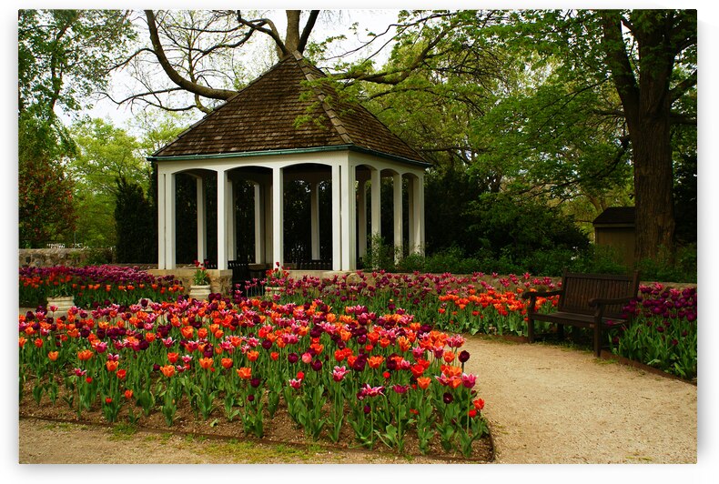 Garden View  by Deb Beausoleil