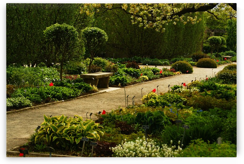 Shady Sun by Deb Beausoleil