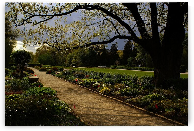 Storm Approaching by Deb Beausoleil