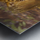 Stella full Portrait Metal print