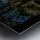 Deer Lake Picnic Metal print