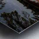 Summer Day at Deer Lake Metal print