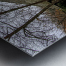 The Gazebo in Autumn Metal print