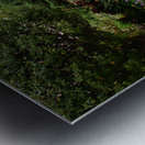 Flower Seating Metal print