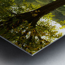 Boerner Botanical Gardens Metal print