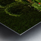 Shady Sun Metal print