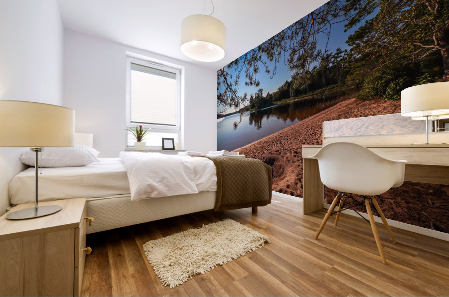 Deer Lake Park Beach Mural print