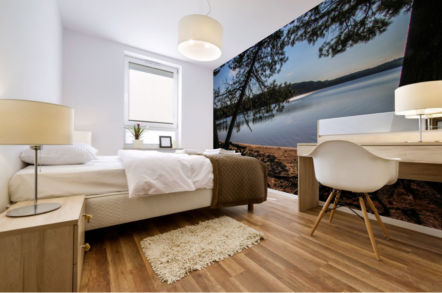 Sunshine on Deer Lake Mural print