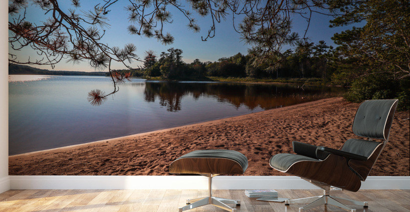 Deer Lake Park Beach Wall Murals