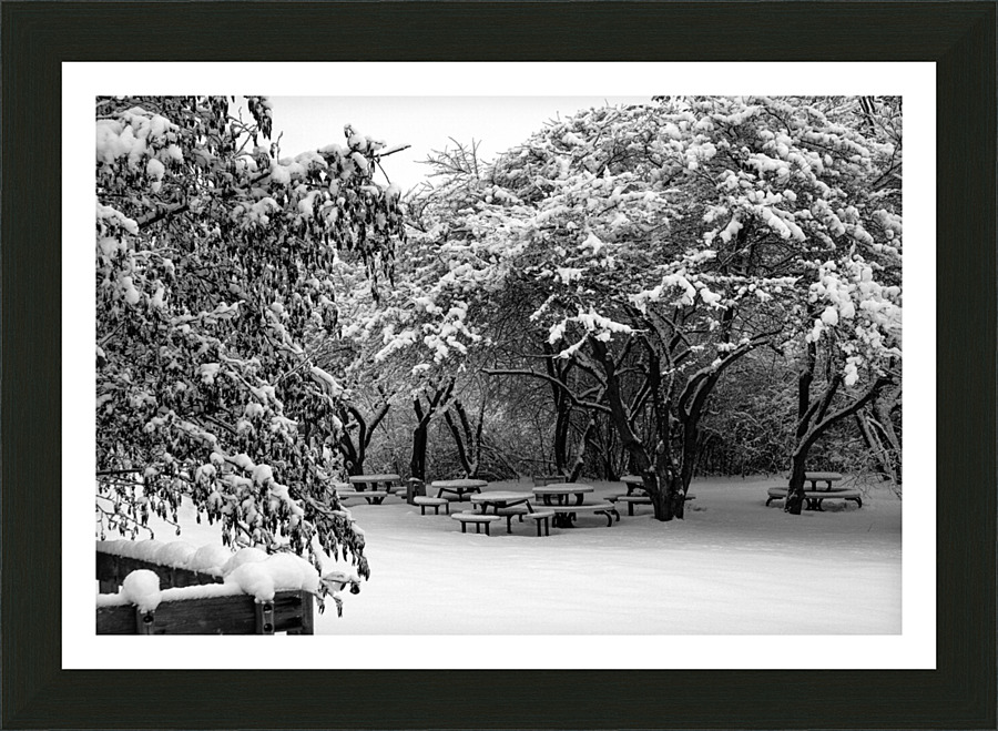 Picnic Under Snow Trees  Picture Frame print