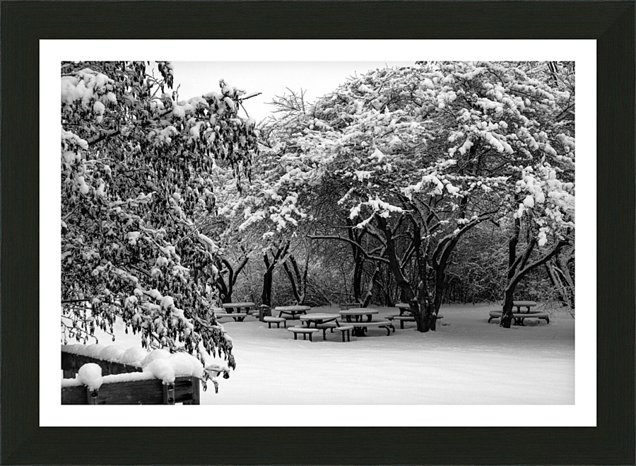 Picnic Under Snow Trees   Framed Print Print