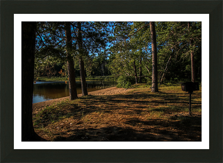 Deer Lake Picnic Picture Frame print