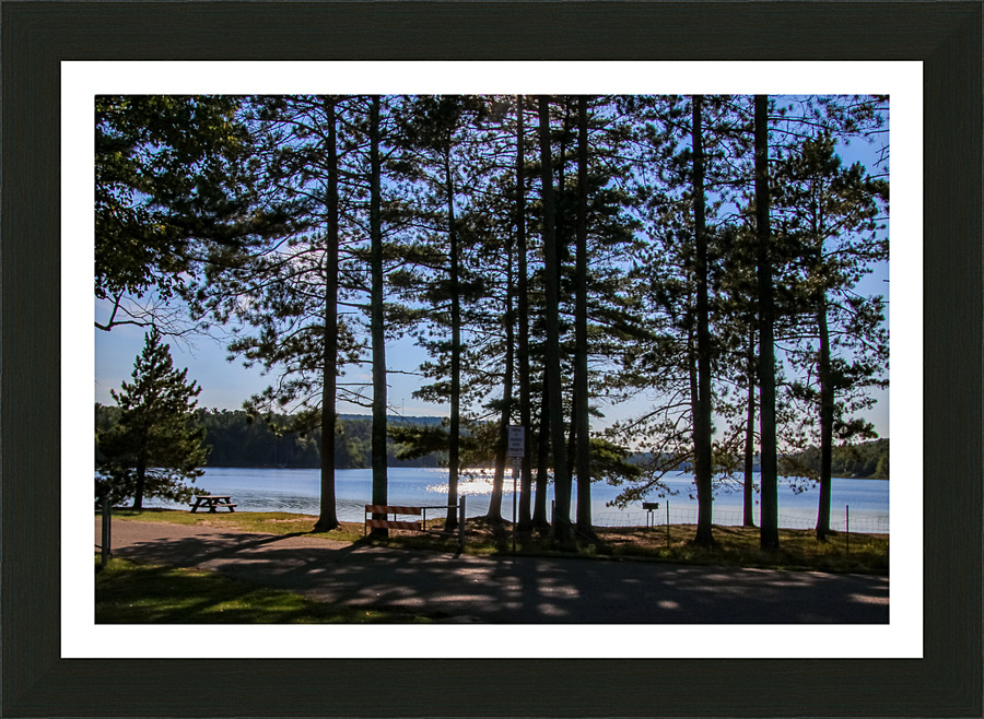 Roadside Park Picture Frame print