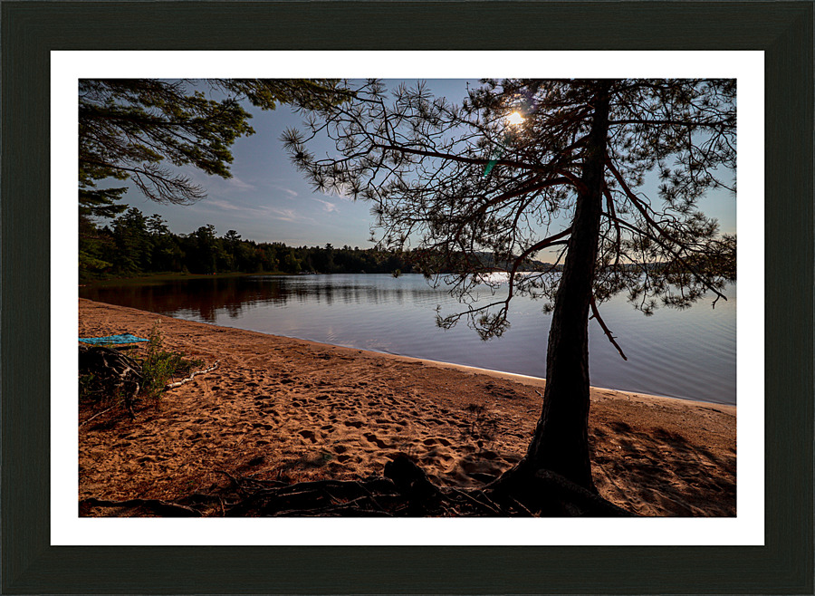 Summer Day at Deer Lake  Framed Print Print