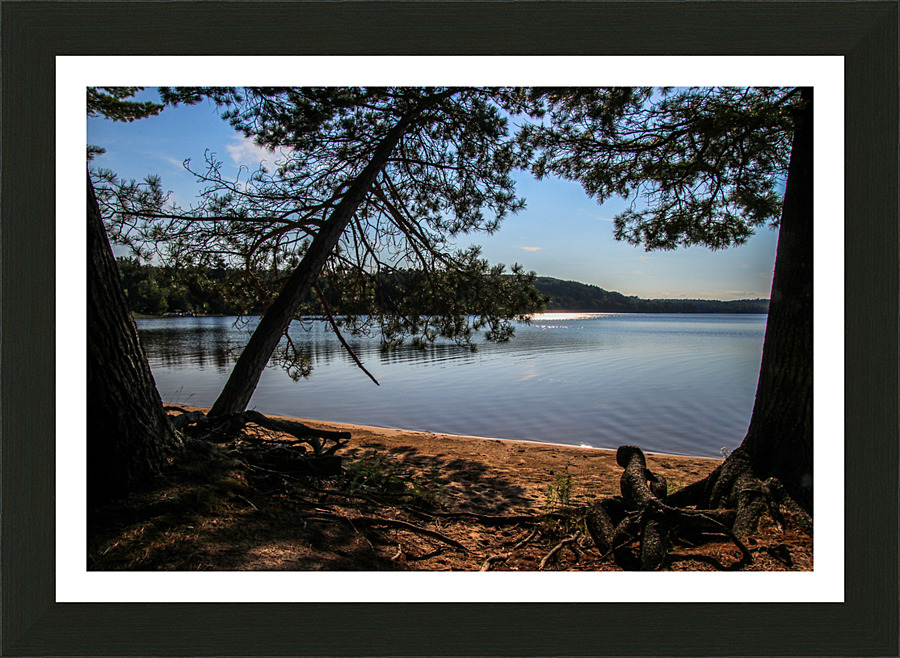 Sunshine on Deer Lake  Framed Print Print