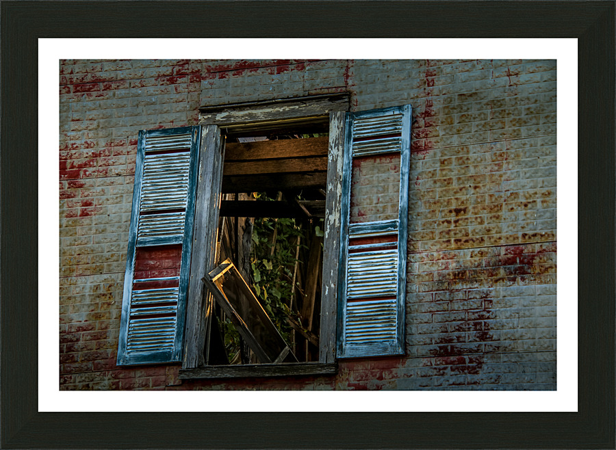Outside Through the Window Picture Frame print