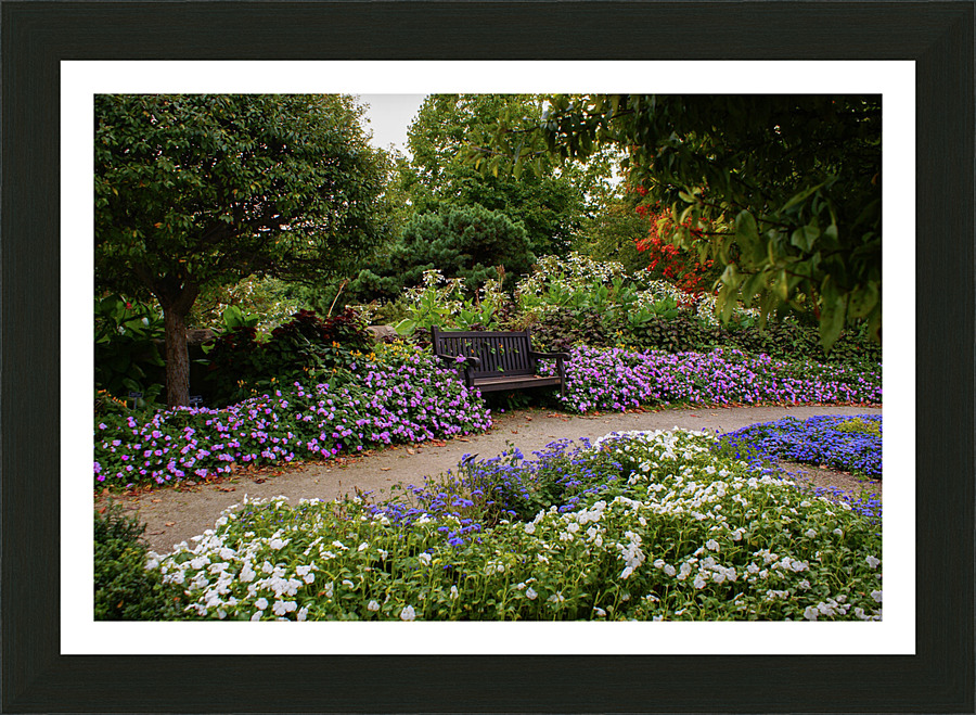 Flower Seating Picture Frame print