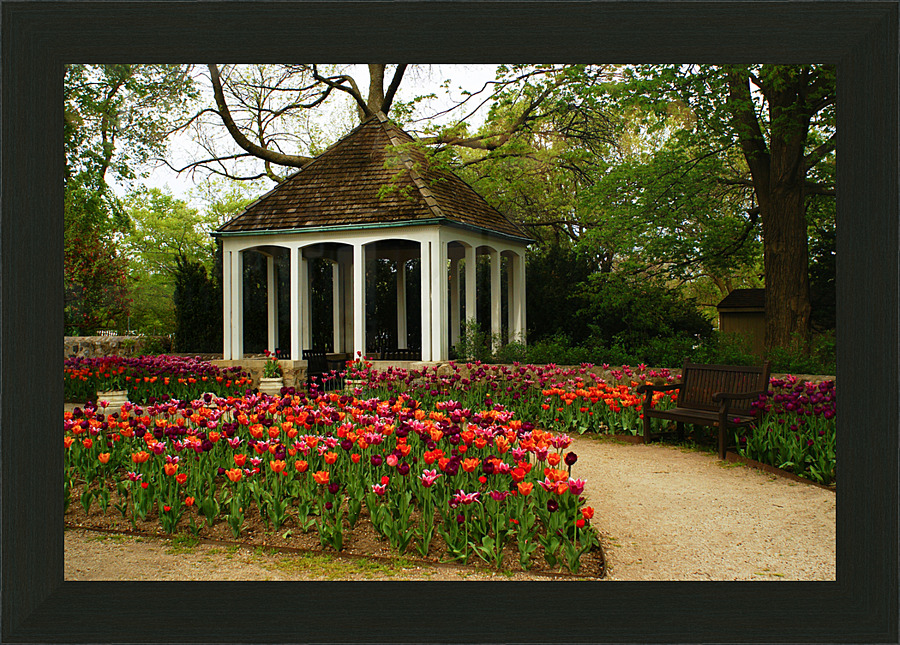 Garden View  Picture Frame print