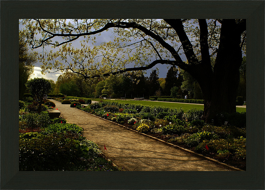 Storm Approaching Picture Frame print