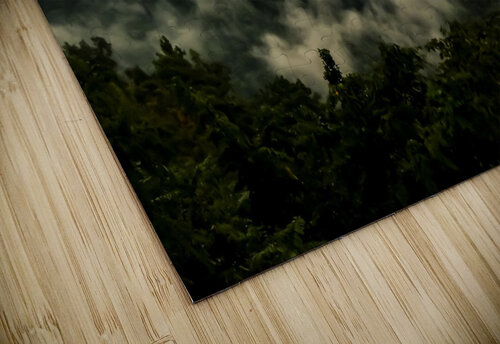 Rock Castle Gorge Deb Beausoleil puzzle