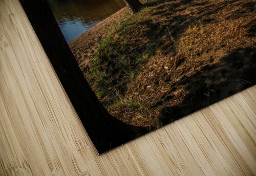 Deer Lake Picnic Deb Beausoleil puzzle