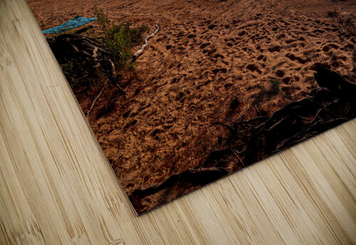 Summer Day at Deer Lake Deb Beausoleil puzzle