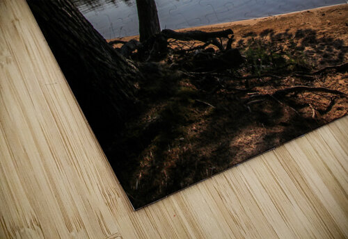 Sunshine on Deer Lake Deb Beausoleil puzzle