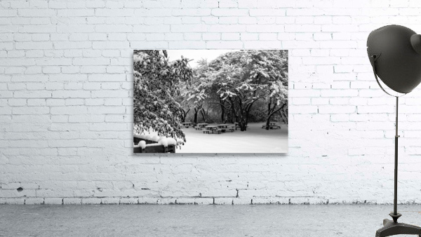 Picnic Under Snow Trees  Wall Preview