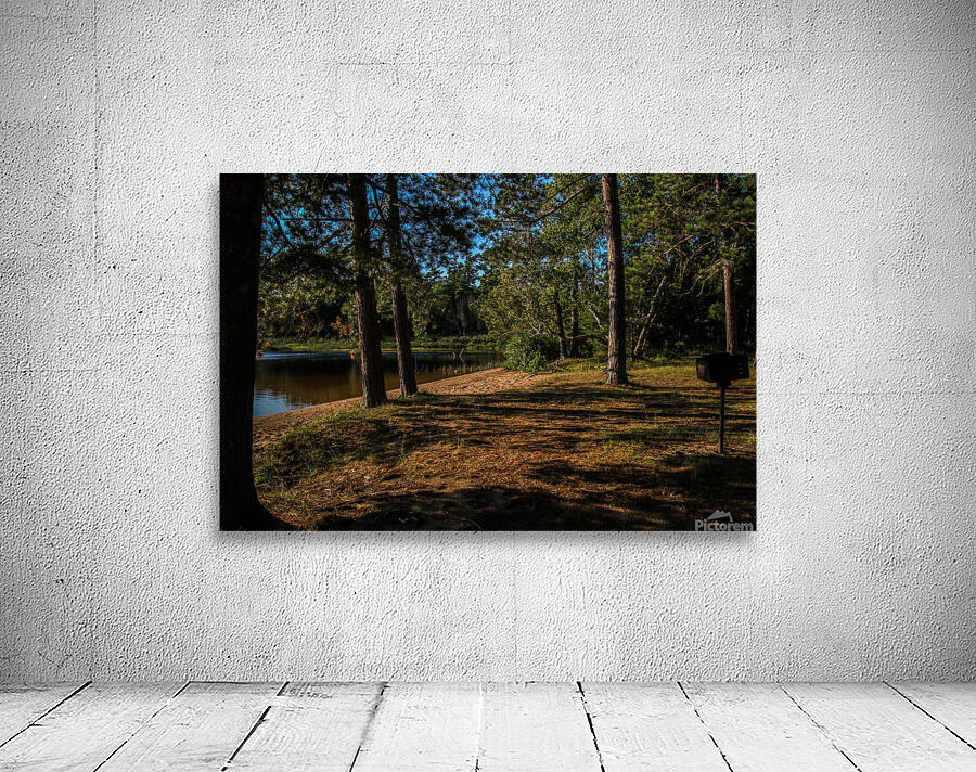 Deer Lake Picnic Wall Preview