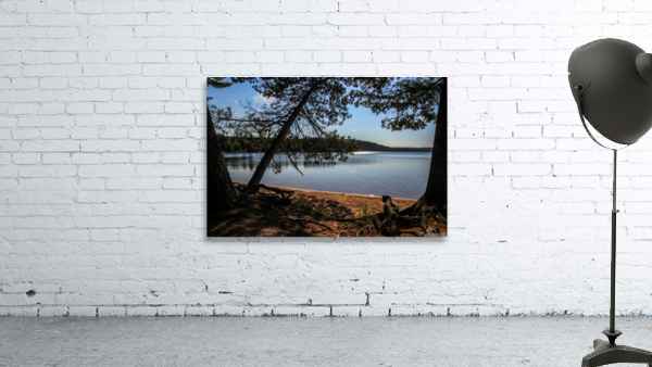 Sunshine on Deer Lake Wall Preview