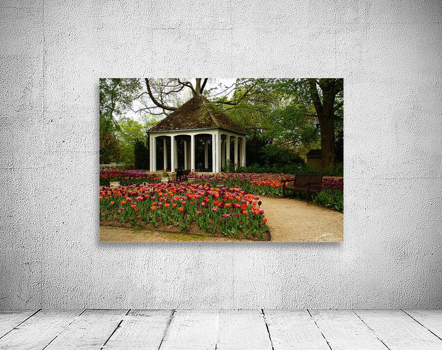 Garden View  Wall Preview