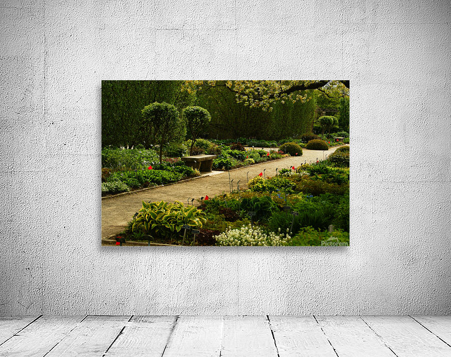 Shady Sun Wall Preview