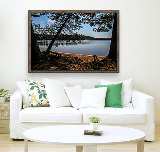 Sunshine on Deer Lake Reproduction