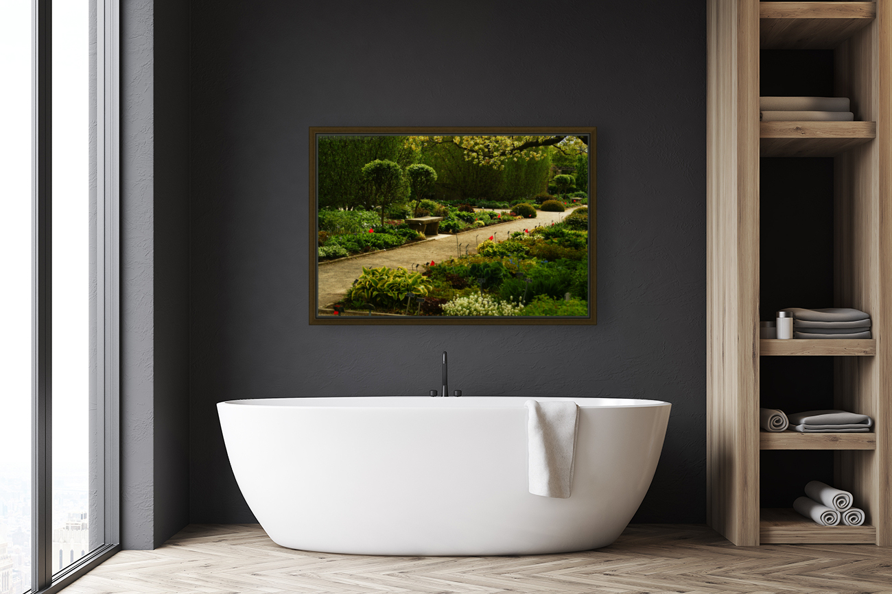 Shady Sun Reproduction