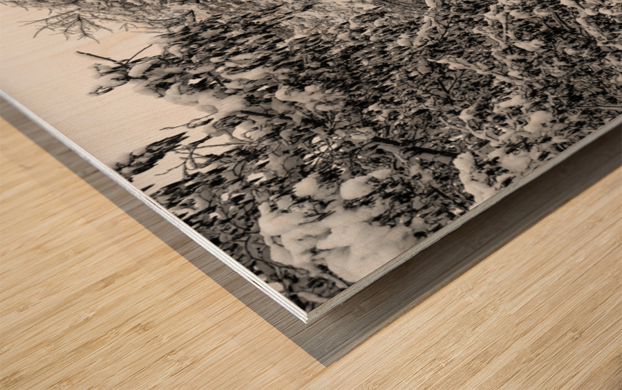 Picnic Under Snow Trees  Wood print