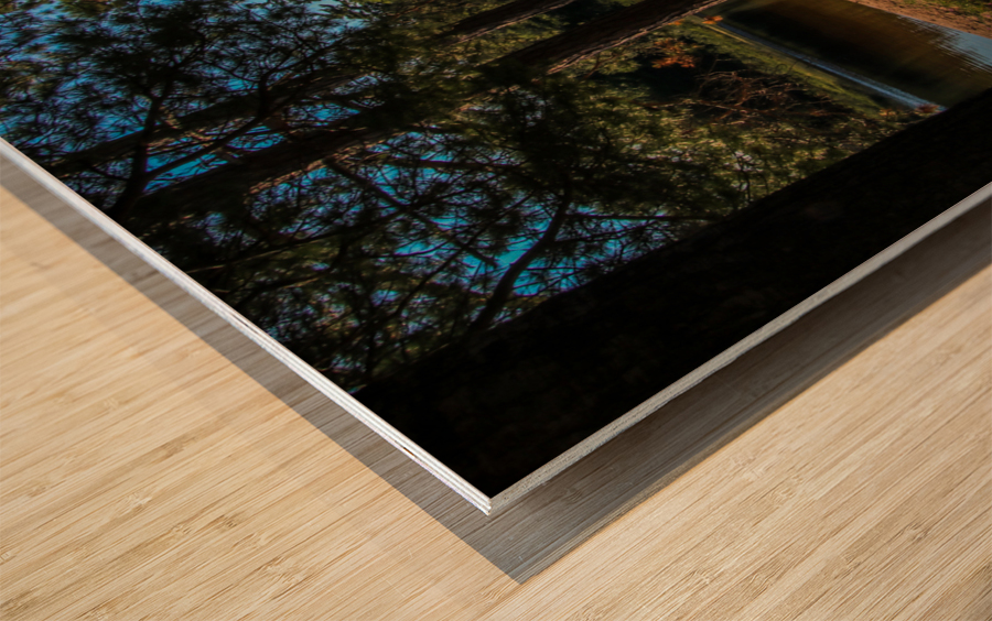 Deer Lake Picnic Wood print